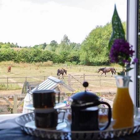 Cherry Orchard Farm South Wraxall Номер фото